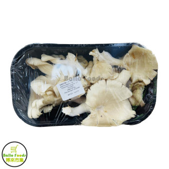 Fresh - Oyster mushroom秀珍菇/蠔菇	
